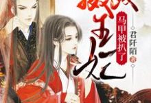 摄政王妃马甲被扒了小说全文哪里可以免费看？-侠客文学