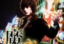 异能少年王免费阅读，异能少年王章节在线阅读-侠客文学