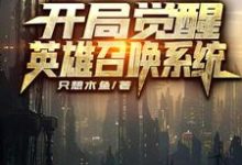 末世降临，开局觉醒英雄召唤系统这本小说完结了吗？免费查看最新章节-侠客文学