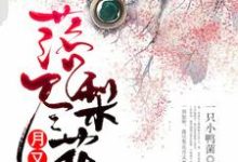 免费看落尽梨花月又西小说的网站有哪些?-侠客文学