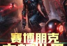 林啸天李明远小说在线章节免费阅读（赛博朋克之新世界无弹窗无删减）-侠客文学