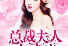 总裁夫人太难当小说的所有章节都能在哪里免费读到？-侠客文学