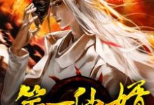 小说《第一仙婿》章节免费阅读-侠客文学