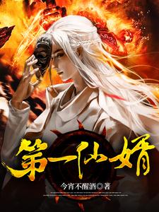 小说《第一仙婿》章节免费阅读