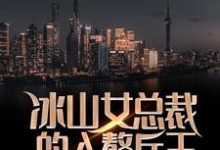 冰山女总裁的入赘兵王小说的最新章节在哪里更新?免费追踪阅读-侠客文学