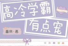 寻找能够免费阅读高冷学霸有点宠小说的平台-侠客文学