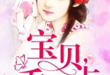宝贝乖一点小说完结版章节免费阅读-侠客文学