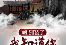 已完结小说《嘘，别装了，我知道你所有过往》章节在线阅读-侠客文学