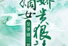 嫡女娇贵狠辣，皇爷请三思主角甄宁若轩辕泓范媛媛江源之小说完结版章节在线阅读-侠客文学