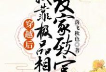 穿越后，我靠极品相公发家致富小说免费资源，穿越后，我靠极品相公发家致富在线阅读-侠客文学