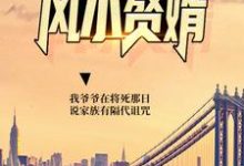 风水赘婿陆尘玲珑小说免费阅读-侠客文学