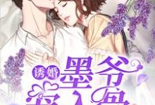 诱婚，墨爷宠入骨这本小说完结了吗？免费查看最新章节-侠客文学