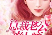 寻找能够免费阅读婚宠入骨：总裁老公撩上瘾小说的平台-侠客文学