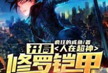 完结版《人在超神:开局修罗铠甲穿梭万界》免费阅读-侠客文学