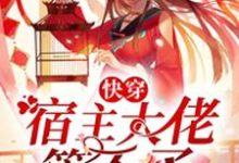完结版《快穿：宿主大佬管不了》免费阅读-侠客文学