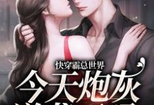 《快穿霸总世界：今天炮灰逆袭了吗》小说章节列表免费试读，王明月徐朝朝小说在线阅读-侠客文学