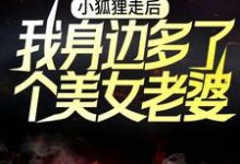 小说《小狐狸走后，我身边多了个美女老婆》章节免费阅读-侠客文学