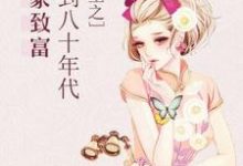 想读苏袖袖季成安姜昱顾圆圆的故事，哪里可以免费找到重生之回到八十年代发家致富？-侠客文学