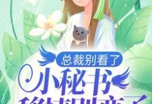 主角 姜佳宁薛凛安小说完结版在线阅读，总裁别看了，小秘书移情别恋了免费看-侠客文学