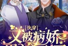 完结版《快穿：又被病娇男主撩到了》在线免费阅读-侠客文学
