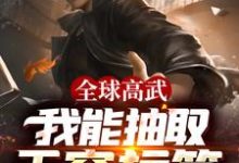 秦昊离诺是哪本书的主角?全球高武:我能抽取无穷标签免费读-侠客文学