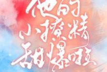 完结版《他的小撩精甜爆啦》免费阅读-侠客文学