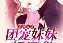 沐晴沐泽沐风沐景的小说在哪里看？免费在线阅读重回九零：团宠妹妹超级甜-侠客文学