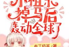 主角夏果儿霍凌夜小说完结版在线阅读，霍爷的小祖宗掉马后轰动全球了！免费看-侠客文学