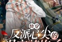 免费看快穿：反派心尖的祖宗苏炸了小说的网站有哪些？-侠客文学