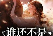 谁还不是开飞机的了小说完结了吗？在哪里可以免费读到？-侠客文学