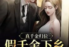 沈雪宁秦子洲小说在线章节免费阅读(真千金归位,假千金下乡暴富了无弹窗无删减)-侠客文学