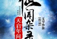 天启年间仙闻杂录小说阅读，天启年间仙闻杂录完结版-侠客文学