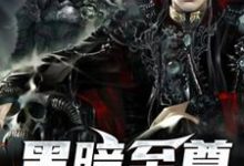 在线寻找黑暗至尊小说的无删减版本-侠客文学