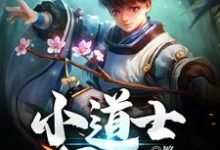 小道士下山小说阅读，小道士下山完结版-侠客文学