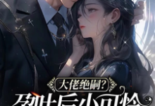 大佬绝嗣？孕吐后小可怜一胎三宝这本小说完结了吗？免费查看最新章节-侠客文学