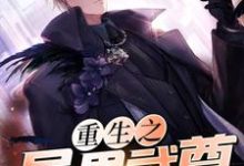 《重生之异界武尊》小说章节列表免费试读，叶凌尘叶凌尘小说在线阅读-侠客文学