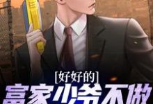 好好的富家少爷不做,要做流浪汉主角江辰叶悠然小说完结版章节在线阅读-侠客文学