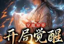 已完结小说《穿越异界,开局觉醒地阶灵脉》在线章节阅读-侠客文学