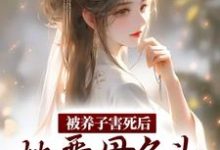 云初楚翊小说《被养子害死后,她恶母名头传遍京城》在线阅读-侠客文学