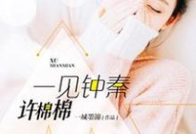 主人公许棉秦迹赫连范思哲小说一见钟秦许棉棉在线章节阅读-侠客文学