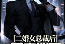 二婚女总裁后，前妻哭着求复合章节免费在线阅读，皮阳阳苏雪晴完结版-侠客文学