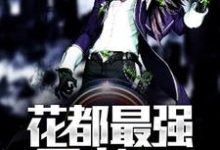 花都最强王者最新章节，花都最强王者章节在线阅读-侠客文学