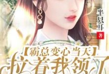 沈风华战尘嚣为主角的小说叫什么？免费看霸总变心当天，拉着我领了离婚证-侠客文学