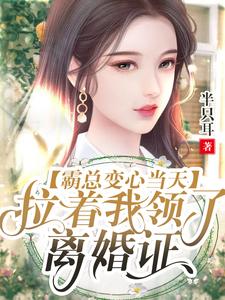 沈风华战尘嚣为主角的小说叫什么？免费看霸总变心当天，拉着我领了离婚证