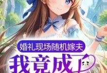 婚礼现场随机嫁夫，我竟成了总统夫人？小说的免费阅读版本在哪里可以找到？-侠客文学