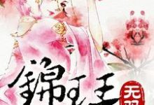 锦瑟无双小说，锦瑟无双徐锦瑟李密徐雅芙-侠客文学