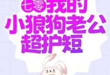 七零：我的小狼狗老公超护短小说最新章节在哪里可以读到？-侠客文学
