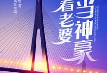 重生奶爸,带着老婆当神豪叶辰陈一诺小说在线章节目录阅读最新章节-侠客文学