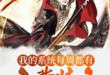 玄幻：我的系统每周都有免费装备免费阅读，玄幻：我的系统每周都有免费装备章节在线阅读-侠客文学