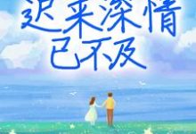 慕晚晚霍靖琛徐慧敏的故事在哪本书里？免费阅读迟来深情已不及-侠客文学